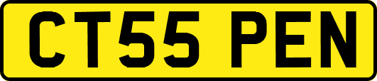 CT55PEN