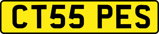 CT55PES