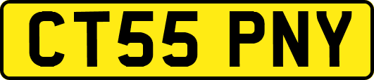 CT55PNY