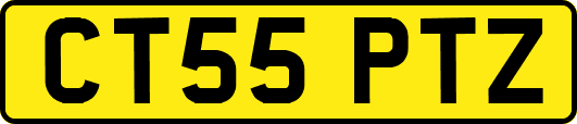CT55PTZ