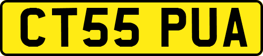 CT55PUA
