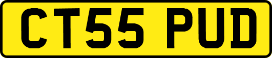CT55PUD