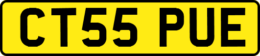 CT55PUE