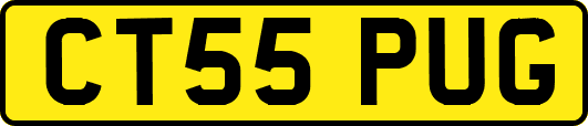 CT55PUG