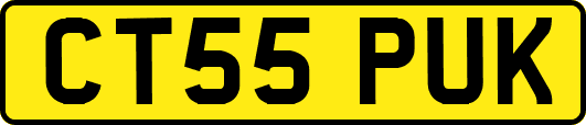 CT55PUK