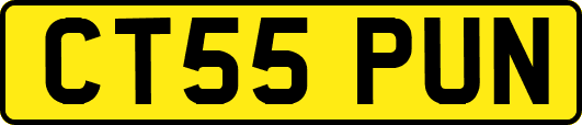 CT55PUN