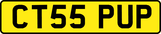 CT55PUP