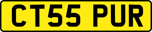 CT55PUR
