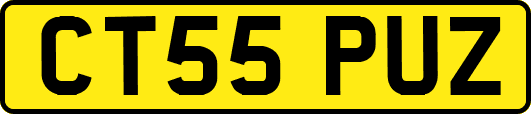 CT55PUZ