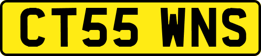 CT55WNS