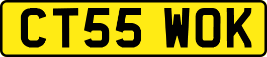 CT55WOK