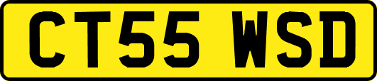 CT55WSD