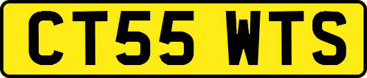 CT55WTS
