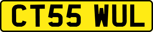 CT55WUL