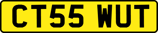 CT55WUT