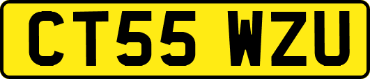 CT55WZU