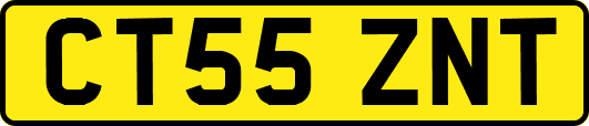 CT55ZNT