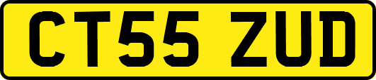 CT55ZUD