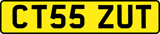 CT55ZUT
