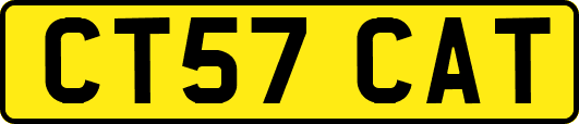 CT57CAT