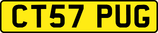 CT57PUG