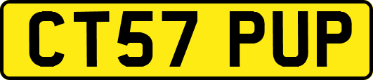 CT57PUP
