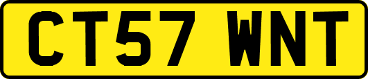 CT57WNT