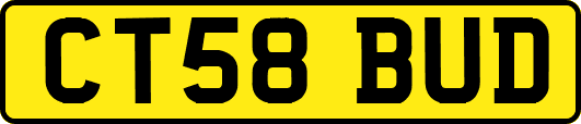 CT58BUD