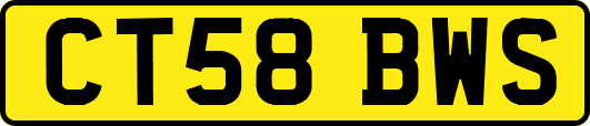 CT58BWS