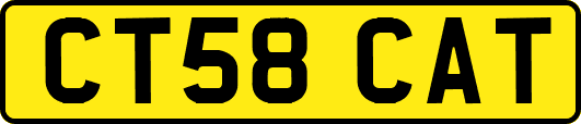 CT58CAT