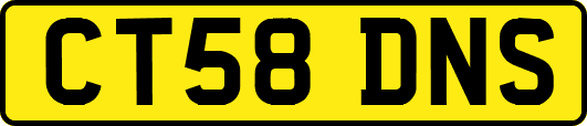 CT58DNS