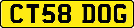 CT58DOG
