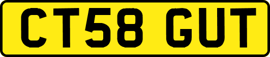 CT58GUT
