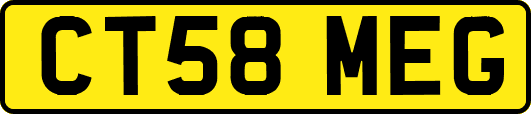 CT58MEG