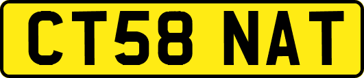 CT58NAT