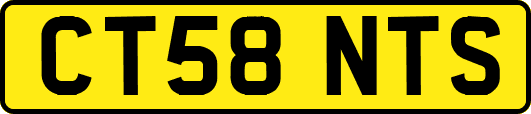 CT58NTS