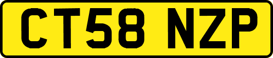 CT58NZP