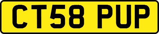 CT58PUP