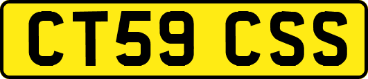 CT59CSS