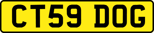 CT59DOG