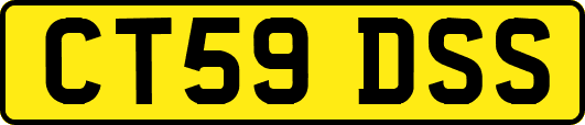 CT59DSS