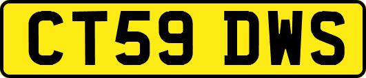 CT59DWS