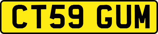 CT59GUM