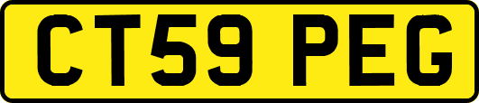 CT59PEG