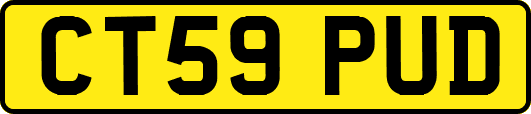 CT59PUD