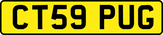 CT59PUG