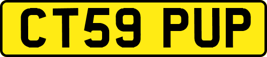 CT59PUP