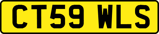 CT59WLS