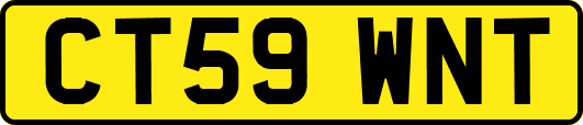 CT59WNT