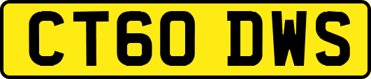 CT60DWS